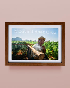 Please refer to the individual print's number. Mockup for reference only.
