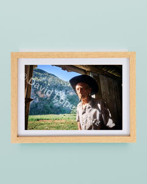 Please refer to the individual print's number. Mockup for reference only.